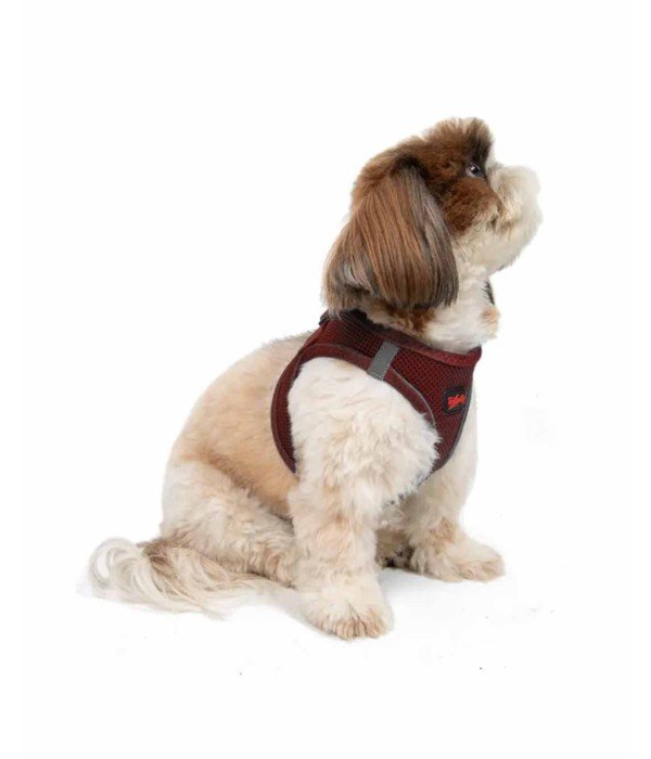 Tailpetz Air-mesh Harness Köpek Göğüs Tasması - Bordo S