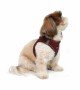Tailpetz Air-mesh Harness Köpek Göğüs Tasması - Bordo S