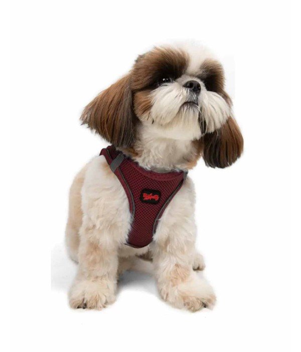 Tailpetz Air-mesh Harness Köpek Göğüs Tasması - Bordo S