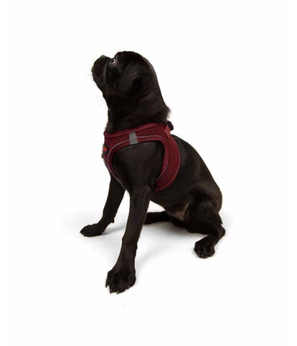 Tailpetz Air-mesh Harness Köpek Göğüs Tasması - Bordo M