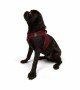 Tailpetz Air-mesh Harness Köpek Göğüs Tasması - Bordo M