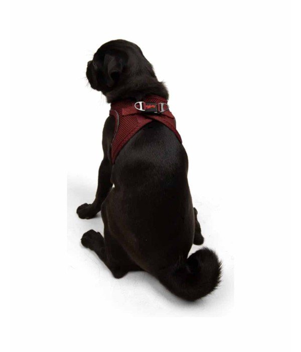 Tailpetz Air-mesh Harness Köpek Göğüs Tasması - Bordo M