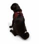 Tailpetz Air-mesh Harness Köpek Göğüs Tasması - Bordo M