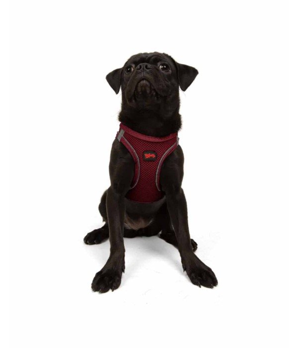 Tailpetz Air-mesh Harness Köpek Göğüs Tasması - Bordo M