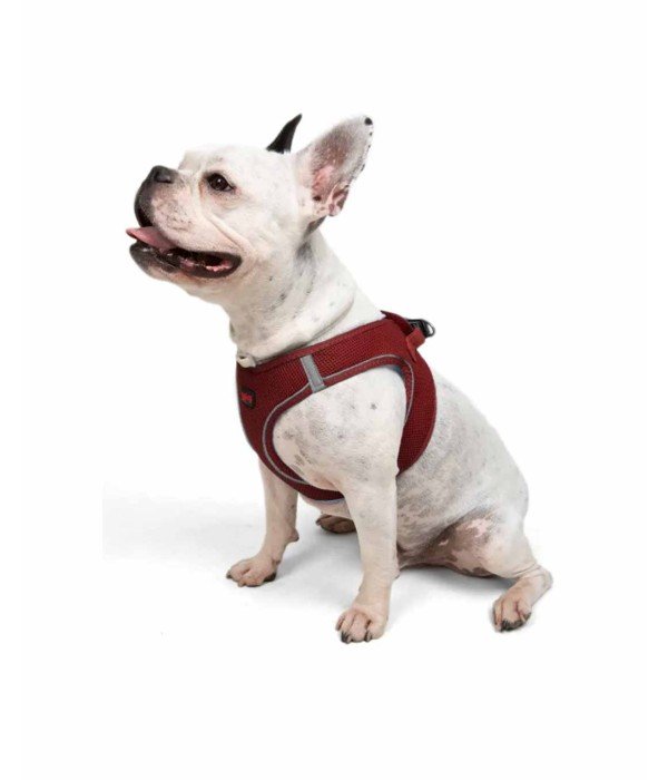 Tailpetz Air-mesh Harness Köpek Göğüs Tasması - Bordo L