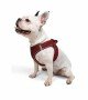 Tailpetz Air-mesh Harness Köpek Göğüs Tasması - Bordo L