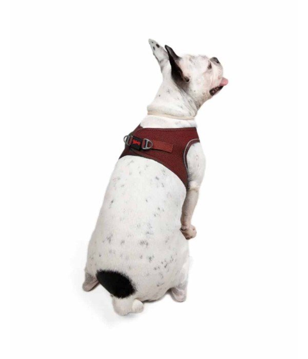 Tailpetz Air-mesh Harness Köpek Göğüs Tasması - Bordo L