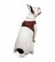 Tailpetz Air-mesh Harness Köpek Göğüs Tasması - Bordo L