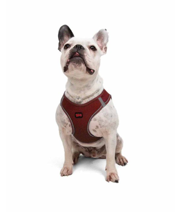 Tailpetz Air-mesh Harness Köpek Göğüs Tasması - Bordo L
