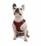 Tailpetz Air-mesh Harness Köpek Göğüs Tasması - Bordo L