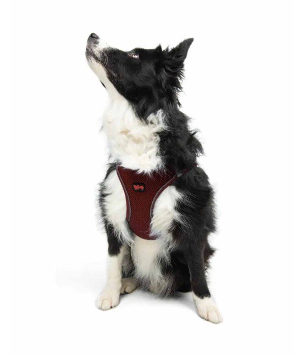 Tailpetz Air-mesh Harness Köpek Göğüs Tasması - Bordo XL