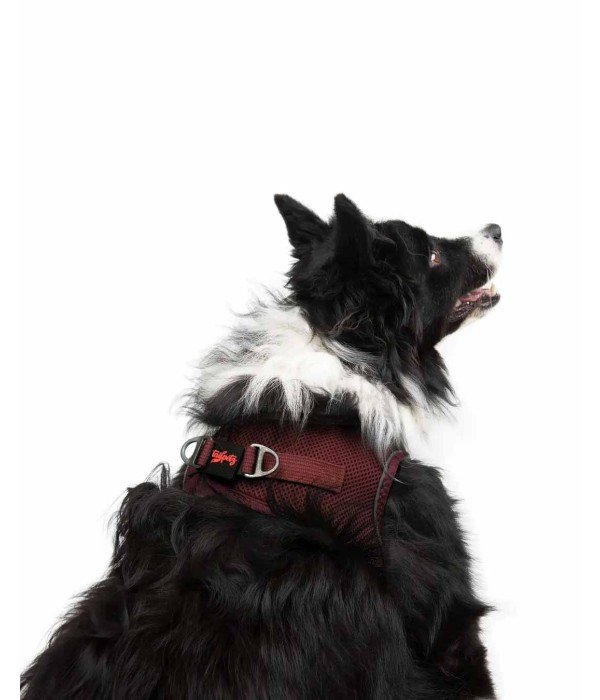 Tailpetz Air-mesh Harness Köpek Göğüs Tasması - Bordo XL
