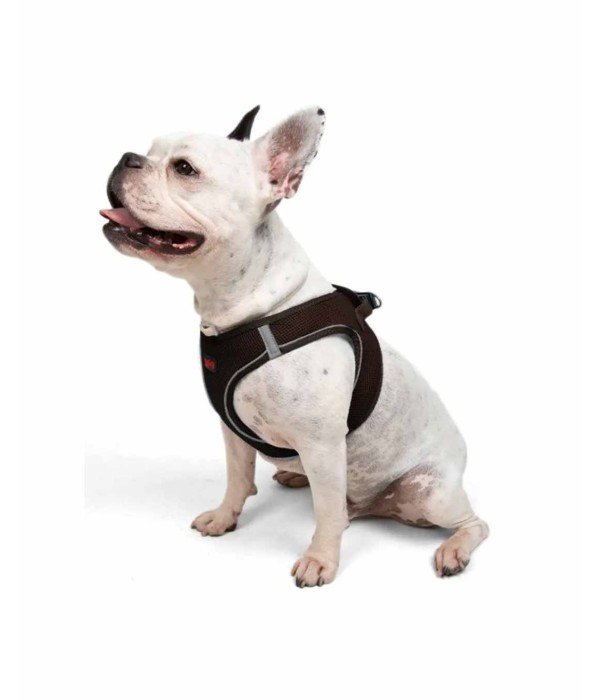 Tailpetz Air-mesh Harness Köpek Göğüs Tasması - Kahverengi L