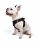 Tailpetz Air-mesh Harness Köpek Göğüs Tasması - Kahverengi L