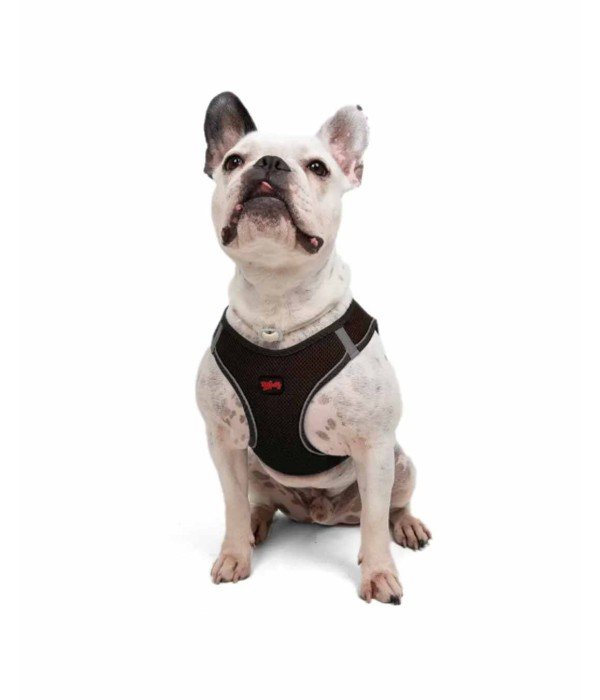 Tailpetz Air-mesh Harness Köpek Göğüs Tasması - Kahverengi L