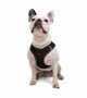 Tailpetz Air-mesh Harness Köpek Göğüs Tasması - Kahverengi L