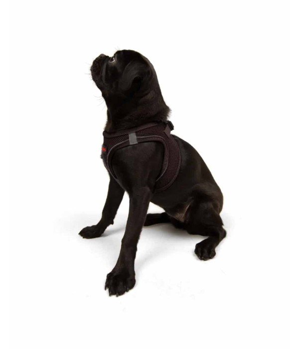 Tailpetz Air-mesh Harness Köpek Göğüs Tasması - Kahverengi M