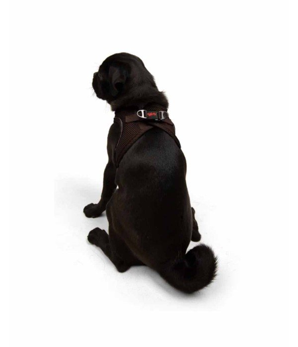Tailpetz Air-mesh Harness Köpek Göğüs Tasması - Kahverengi M