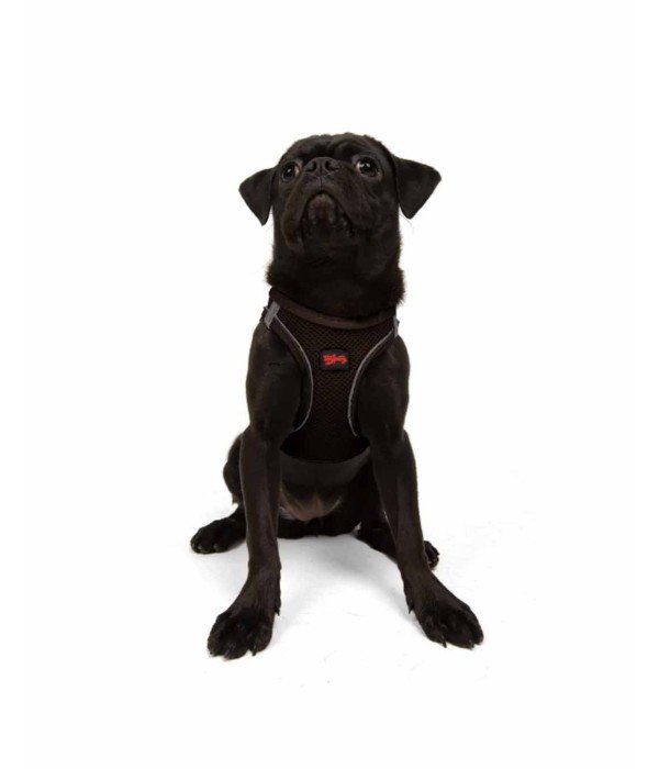 Tailpetz Air-mesh Harness Köpek Göğüs Tasması - Kahverengi M