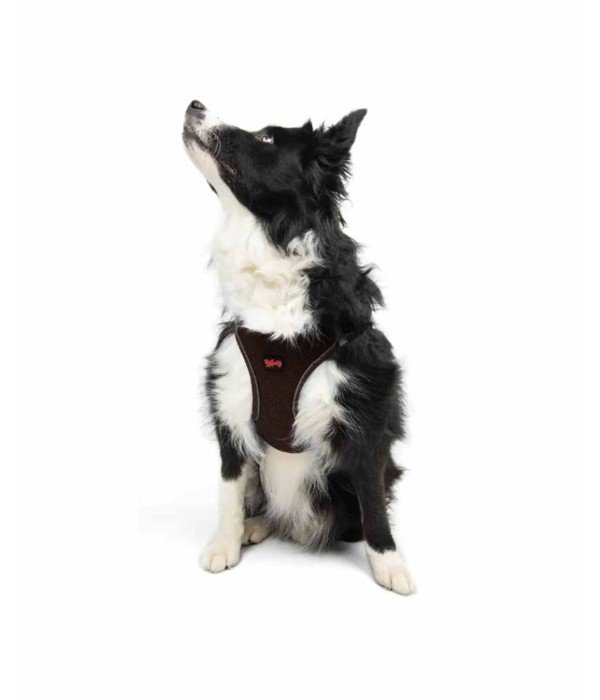 Tailpetz Air-mesh Harness Köpek Göğüs Tasması - Kahverengi XL