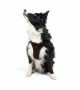 Tailpetz Air-mesh Harness Köpek Göğüs Tasması - Kahverengi XL Tailpetz Air-mesh Harness Köpek Göğüs Tasması - Kahverengi XL