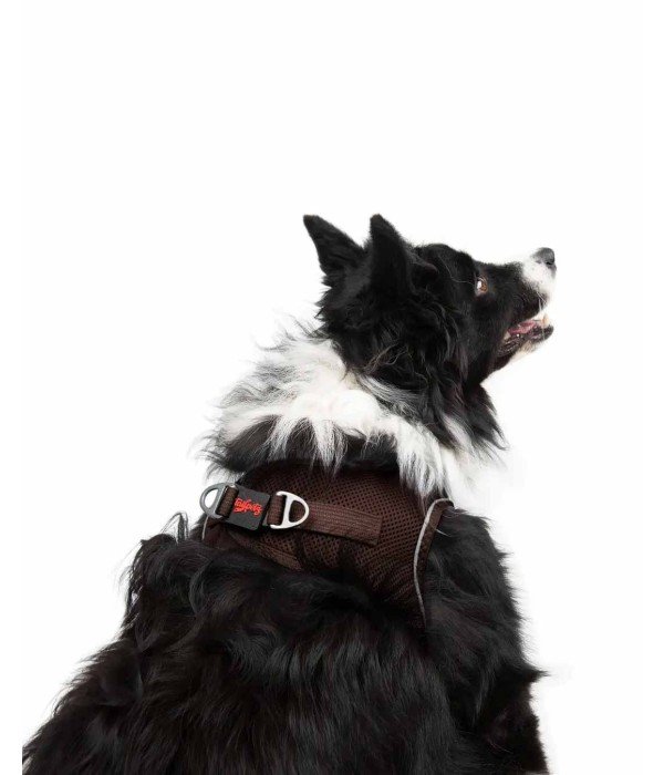Tailpetz Air-mesh Harness Köpek Göğüs Tasması - Kahverengi XL