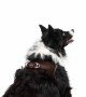 Tailpetz Air-mesh Harness Köpek Göğüs Tasması - Kahverengi XL