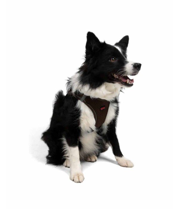 Tailpetz Air-mesh Harness Köpek Göğüs Tasması - Kahverengi XL Tailpetz Air-mesh Harness Köpek Göğüs Tasması - Kahverengi XL