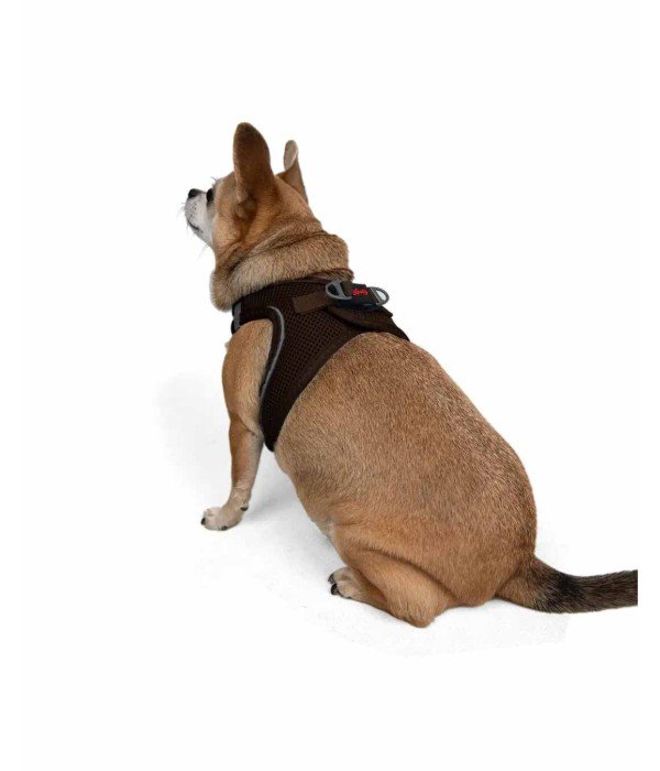 Tailpetz Air-mesh Harness Köpek Göğüs Tasması - Kahverengi 3XS