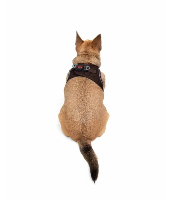 Tailpetz Air-mesh Harness Köpek Göğüs Tasması - Kahverengi 3XS