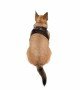 Tailpetz Air-mesh Harness Köpek Göğüs Tasması - Kahverengi 3XS
