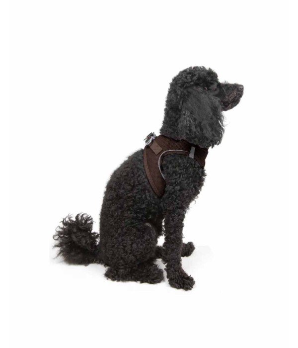 Tailpetz Air-mesh Harness Köpek Göğüs Tasması - Kahverengi XS Tailpetz Air-mesh Harness Köpek Göğüs Tasması - Kahverengi XS