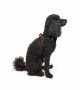 Tailpetz Air-mesh Harness Köpek Göğüs Tasması - Kahverengi XS Tailpetz Air-mesh Harness Köpek Göğüs Tasması - Kahverengi XS