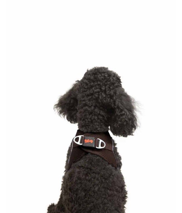 Tailpetz Air-mesh Harness Köpek Göğüs Tasması - Kahverengi XS Tailpetz Air-mesh Harness Köpek Göğüs Tasması - Kahverengi XS