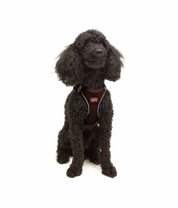 Tailpetz Air-mesh Harness Köpek Göğüs Tasması - Kahverengi XS Tailpetz Air-mesh Harness Köpek Göğüs Tasması - Kahverengi XS