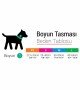 Tailpetz Köpek Boyun Tasması - Alliens S