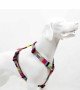 Tailpetz H Tipi Köpek Göğüs Tasması - Spirit L