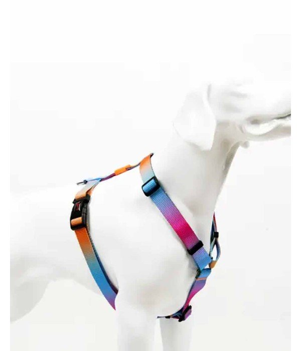 Tailpetz H Tipi Köpek Göğüs Tasması - Pass L