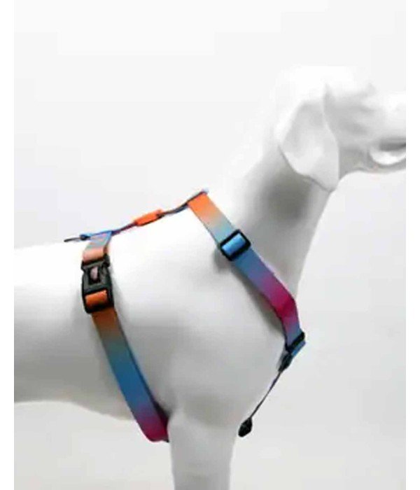 Tailpetz H Tipi Köpek Göğüs Tasması - Pass L