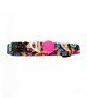 Tailpetz Köpek Boyun Tasması - Paisley XS