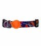 Tailpetz Köpek Boyun Tasması - Splash L