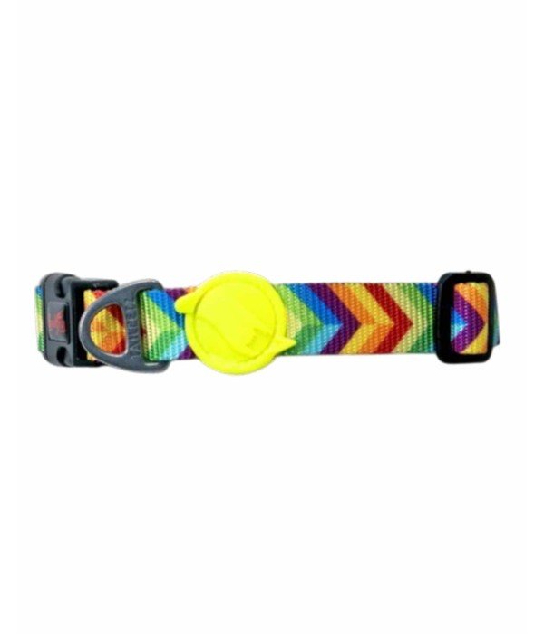 Tailpetz Köpek Boyun Tasması - Rainbow S
