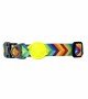 Tailpetz Köpek Boyun Tasması - Rainbow S