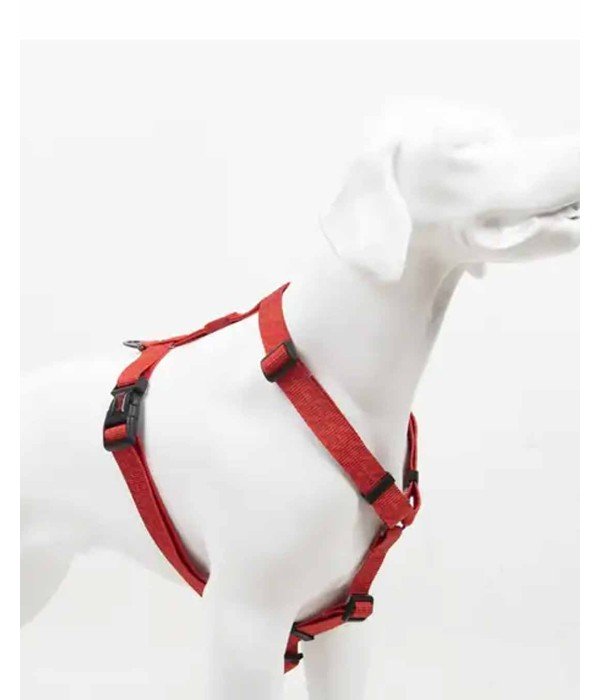 Tailpetz H Tipi Köpek Göğüs Tasması - Prism S