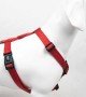 Tailpetz H Tipi Köpek Göğüs Tasması - Prism S