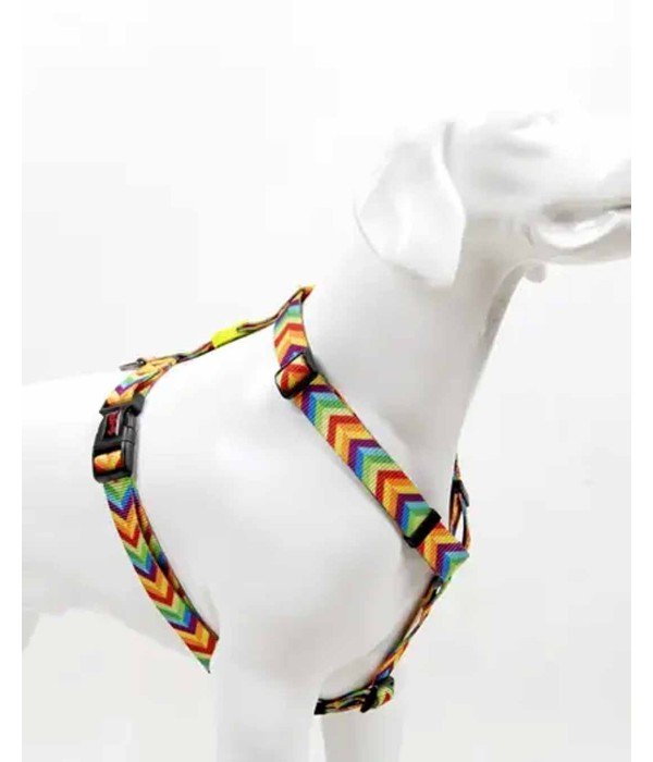 Tailpetz H Tipi Köpek Göğüs Tasması - Rainbow L