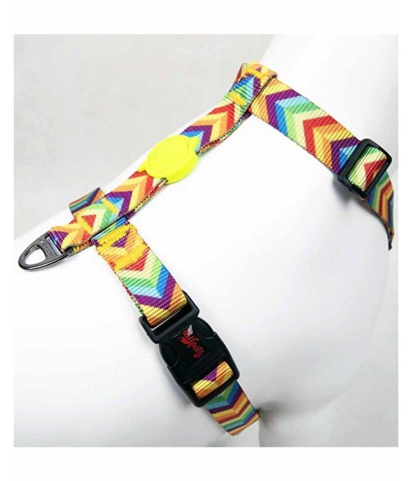 Tailpetz H Tipi Köpek Göğüs Tasması - Rainbow L
