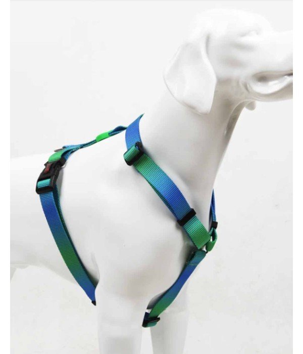 Tailpetz H Tipi Köpek Göğüs Tasması - Amazon XS Tailpetz H Tipi Köpek Göğüs Tasması - Amazon XS