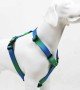 Tailpetz H Tipi Köpek Göğüs Tasması - Amazon XS Tailpetz H Tipi Köpek Göğüs Tasması - Amazon XS