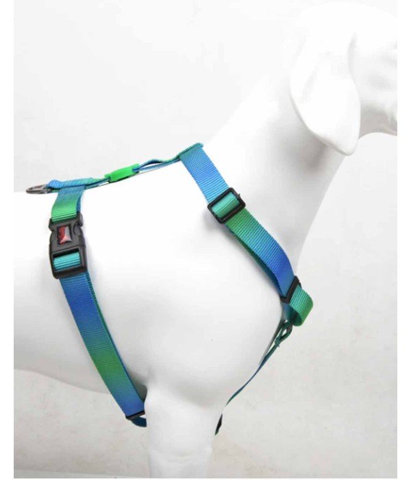 Tailpetz H Tipi Köpek Göğüs Tasması - Amazon XS Tailpetz H Tipi Köpek Göğüs Tasması - Amazon XS